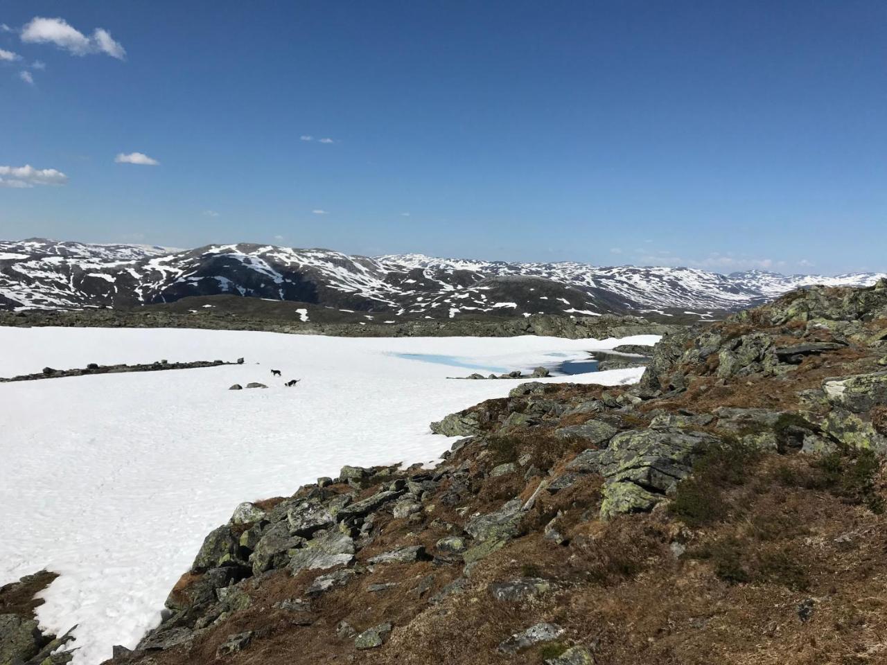 Voss Mountain Lodge Mjolfjell Bagian luar foto